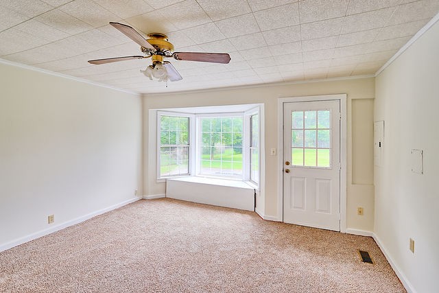 214 Jackson Heights Road Columbia, TN 38401 - Photo 20 of 26 Gallery Image 20