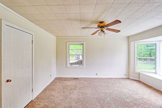 214 Jackson Heights Road Columbia, TN 38401 - Photo 21 of 26 Gallery Image 21