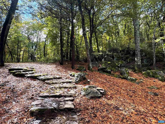 a view of backyard with green space