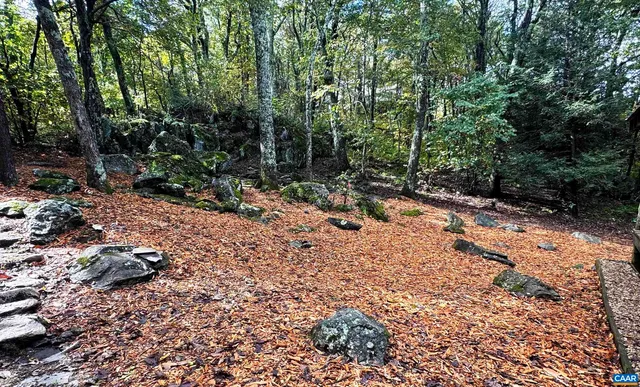 $609,000 | 20 Buck Horn Lane, Roseland, VA 22967