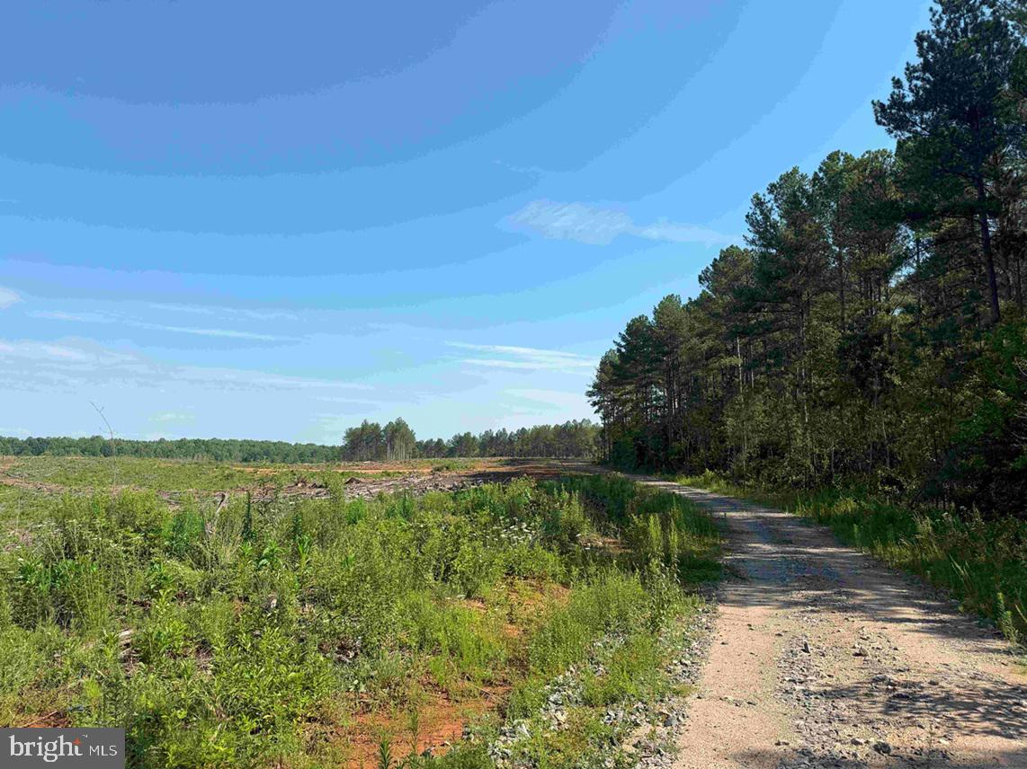 Bannister Town Road Louisa, VA 23093 - Photo 11 of 18 a view of a lake with a big yard