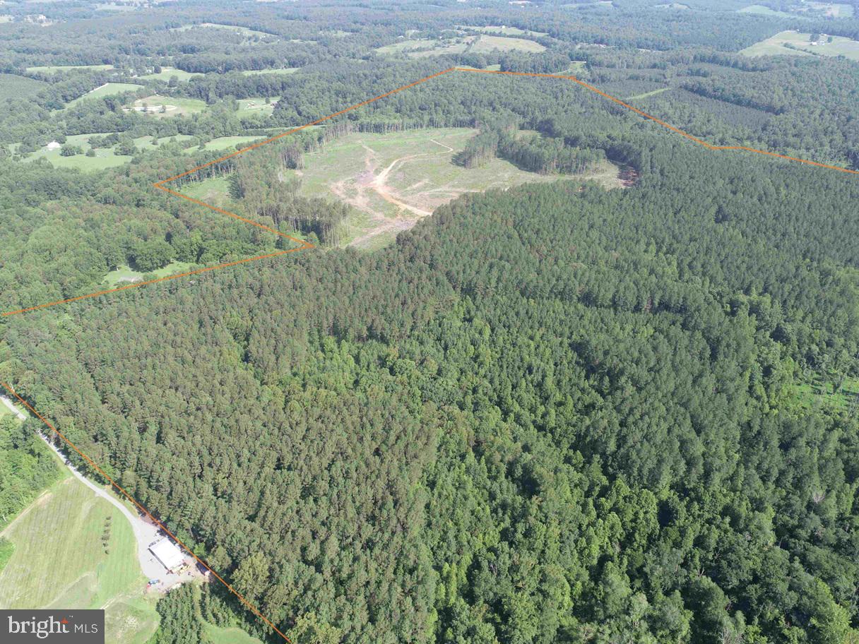Bannister Town Road Louisa, VA 23093 - Photo 5 of 18 a view of a yard with a sink