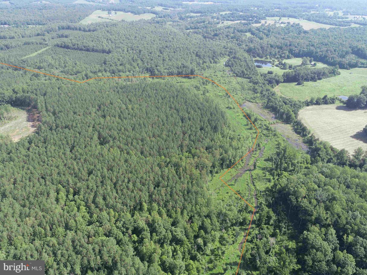 Bannister Town Road Louisa, VA 23093 - Photo 6 of 18 a view of a field of grass and trees