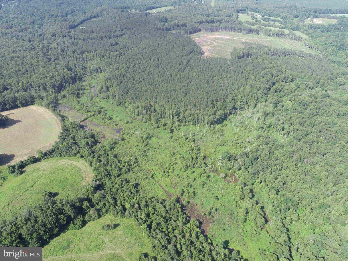 Bannister Town Road Louisa, VA 23093 - Photo 7 of 18 a view of a backyard of a house