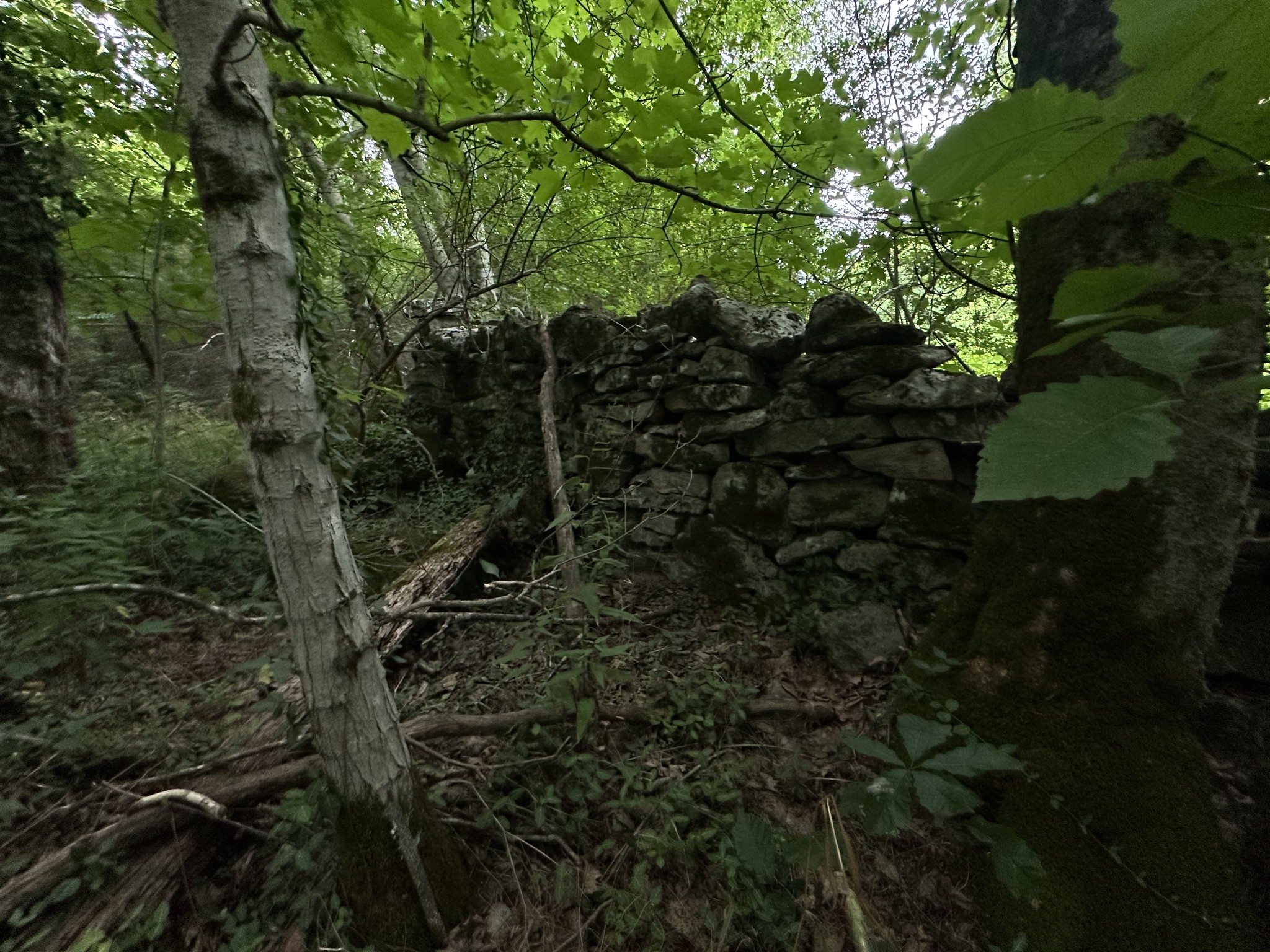 17 Hackett Valley Road Hickman, TN 38567 - Photo 4 of 9