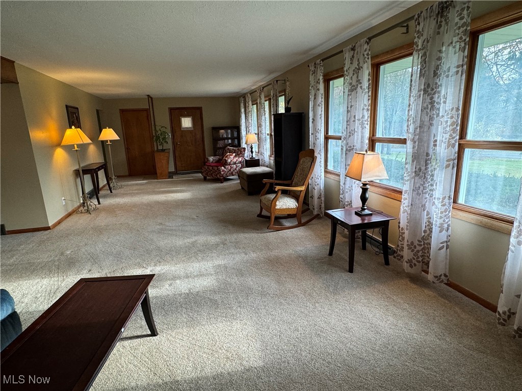 Sitting room with a textured ceiling and carpet flooring