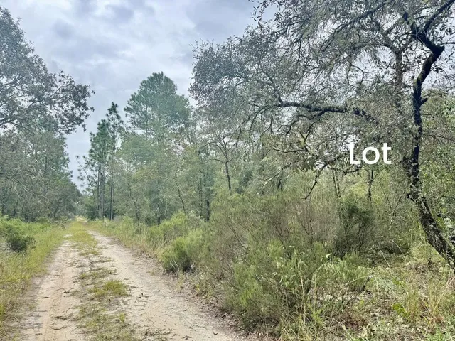 a view of a lake with lots of trees