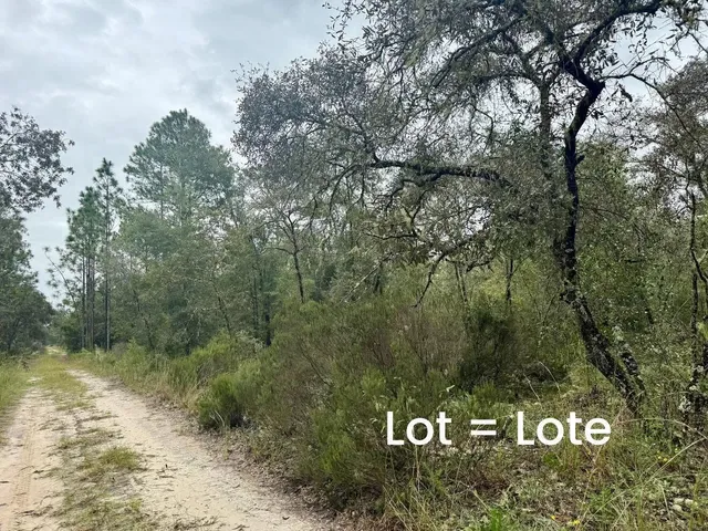 a view of a sign board