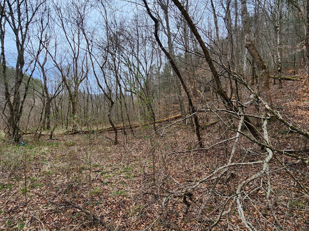 0 Middle Creek Road Cosby, TN 37722 - Photo 15 of 30