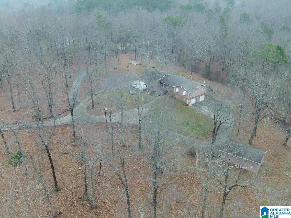 6669 Davison Road Pinson, AL 35126 - Photo 1 of 35