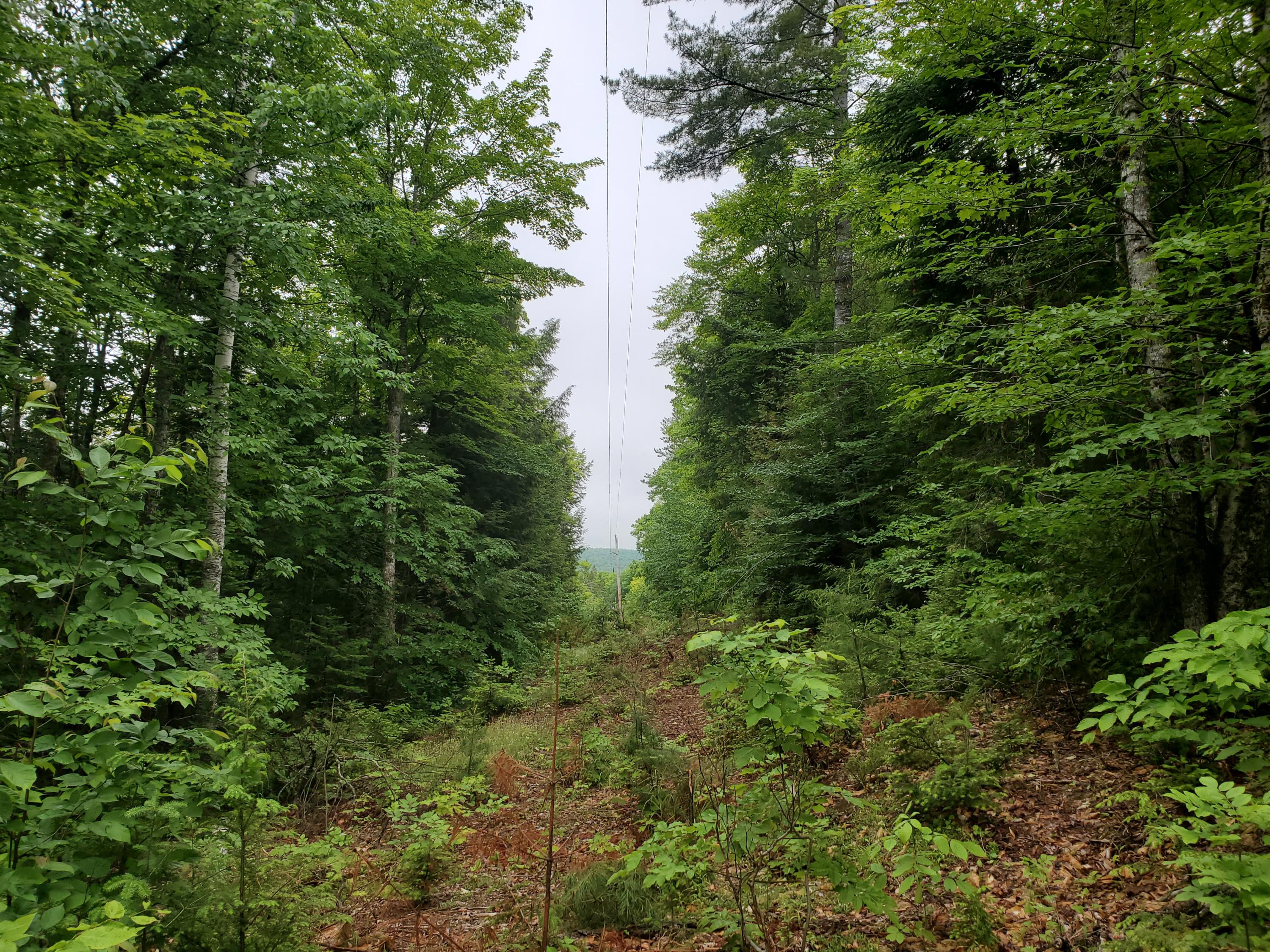 Lot # Off Brown Road Oakfield, ME 04763 - Photo 2 of 7 20210615_132512 (1)