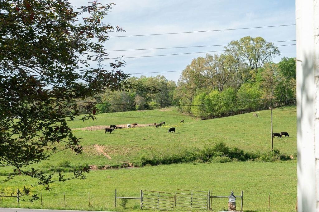 307 Blowing Cave Road Sevierville, TN 37876 - Photo 16 of 37 Gallery Image 16