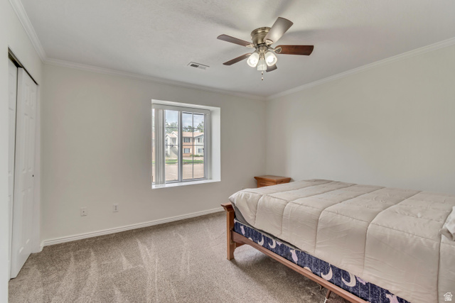 653 South 500 West, Unit 1 Provo, UT 84601 - Photo 9 of 17 Carpeted interior room featuring a window with blinds, ceiling fan with light fixture, and crown molding