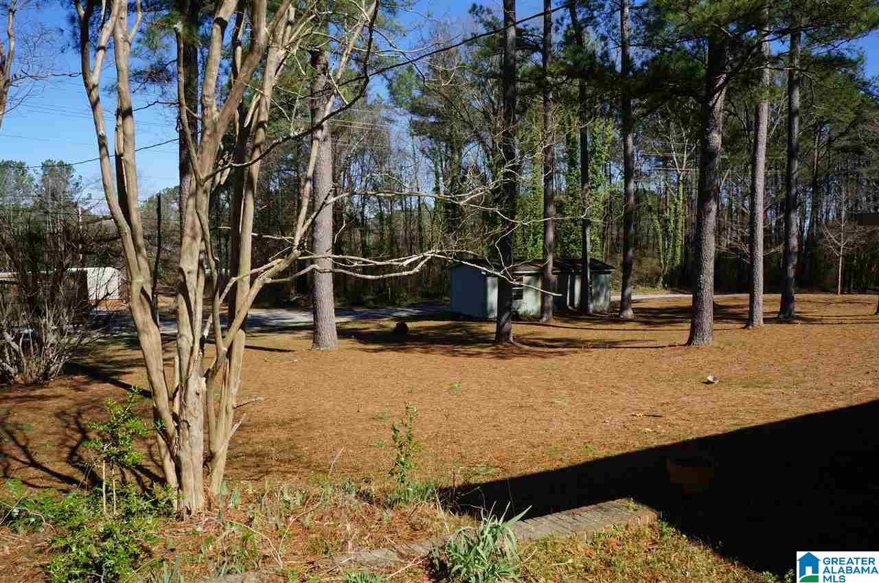 1408 Terrace Road Sylacauga, AL 35150 - Photo 30 of 34