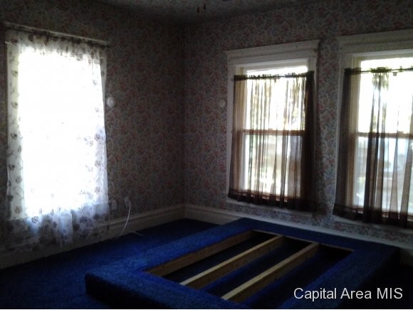 804 West Edwards Street Springfield, IL 62704 - Photo 17 of 23