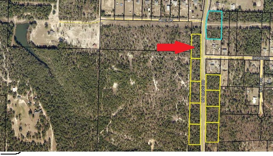 0 Mt Olive Road, Unit LOT 10 Crestview, FL 32539 - Photo 1 of 3 Lot 10