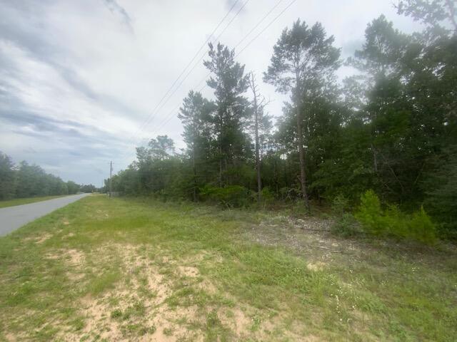 0 Mt Olive Road, Unit LOT 10 Crestview, FL 32539 - Photo 2 of 3 IMG_0145