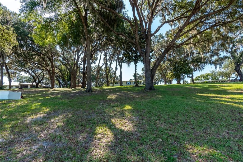 10522 Southeast 146th Terrace Road Ocklawaha, FL 32179 - Photo 64 of 81