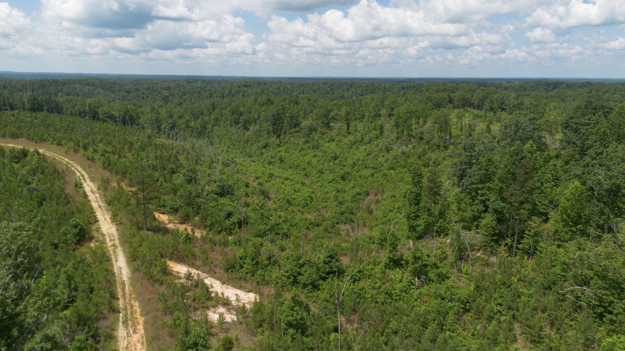 0 Low Gap Road Sugar Tree, TN 38380 - Photo 5 of 9 a view of a field with an ocean