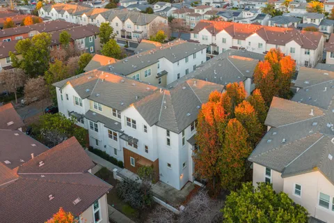 an aerial view of city lake and trees