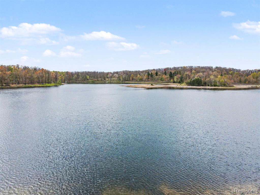 4375 Skinner Lake Road Lapeer, MI 48446 - Photo 27 of 30
