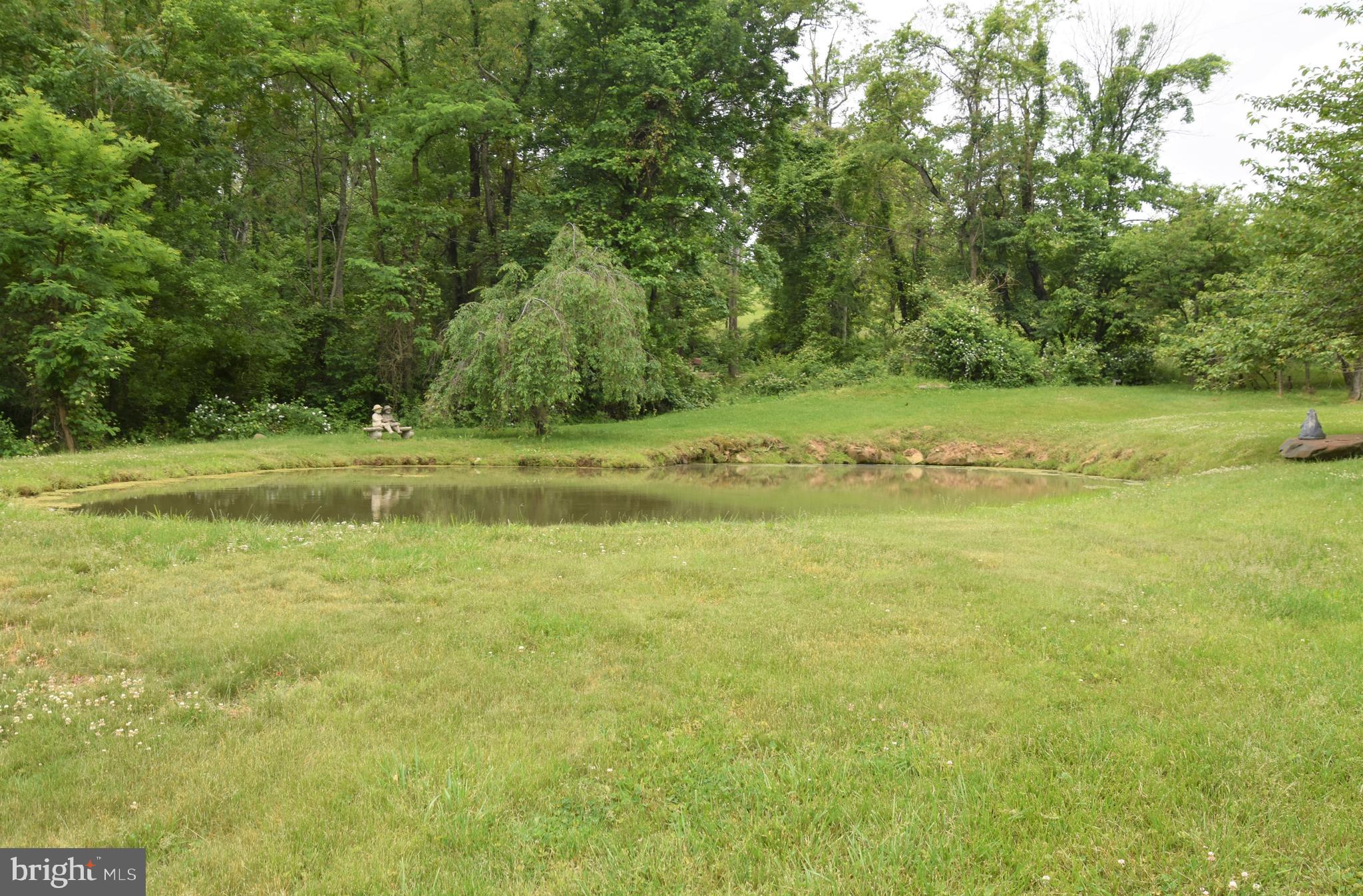 3719 Fiery Run Road Linden, VA 22642 - Photo 7 of 21 Gallery Image 7