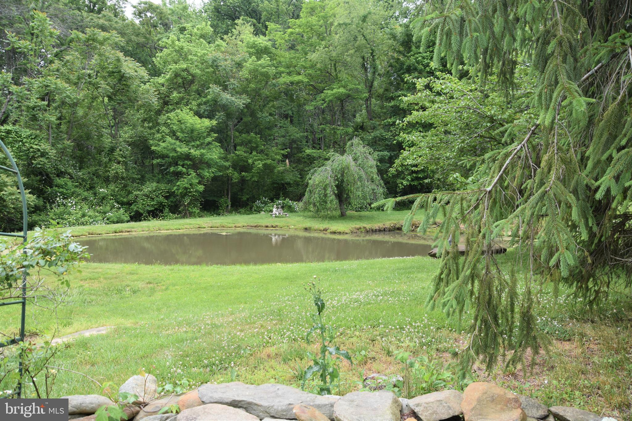 3719 Fiery Run Road Linden, VA 22642 - Photo 8 of 21 Gallery Image 8
