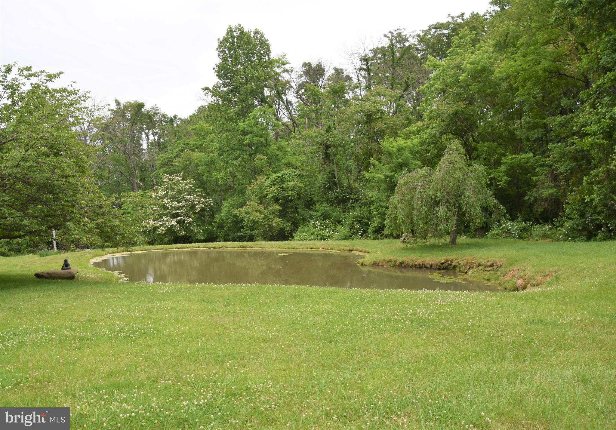 3719 Fiery Run Road Linden, VA 22642 - Photo 9 of 21 Gallery Image 9