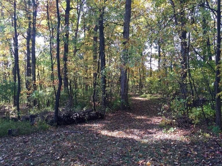 13285 Sager Road Grass Lake, MI 49240 - Photo 24 of 38 Photo 24