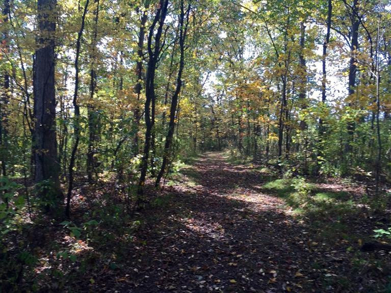 13285 Sager Road Grass Lake, MI 49240 - Photo 25 of 38 Photo 25