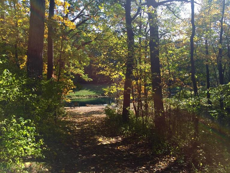 13285 Sager Road Grass Lake, MI 49240 - Photo 26 of 38 Photo 26