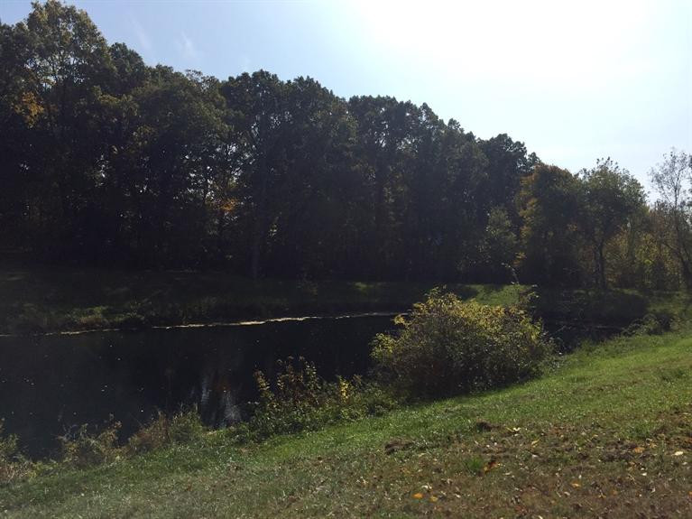 13285 Sager Road Grass Lake, MI 49240 - Photo 28 of 38 Photo 29