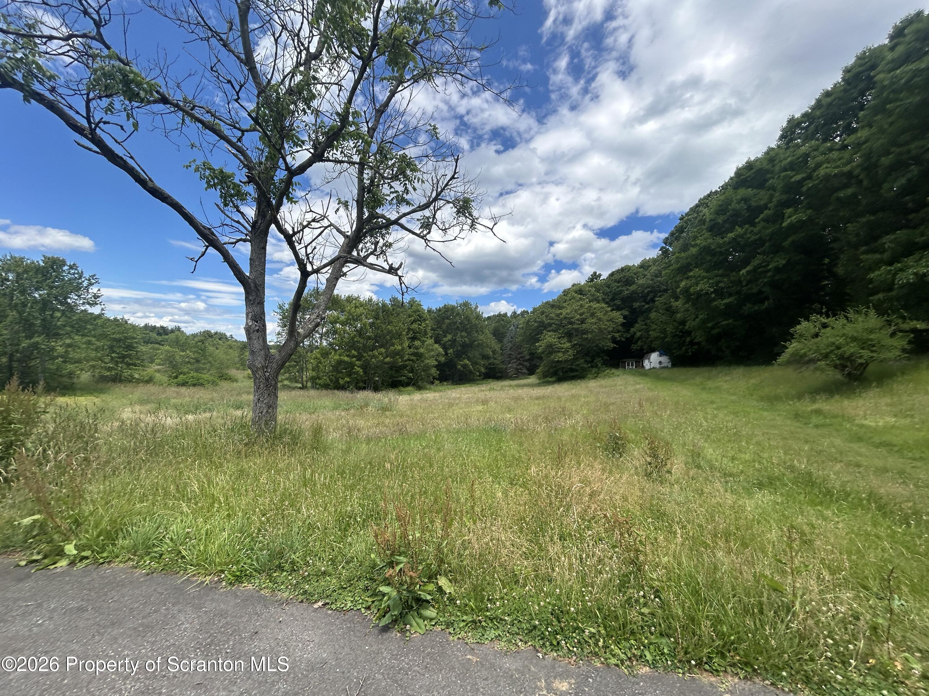452 Mt Olivet Road Wyoming, PA 18644 - Photo 8 of 13 IMG_1146