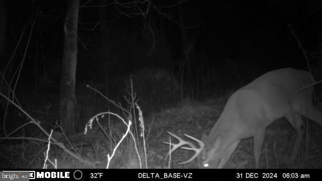 11915 Cove Road Clear Spring, MD 21722 - Photo 69 of 86