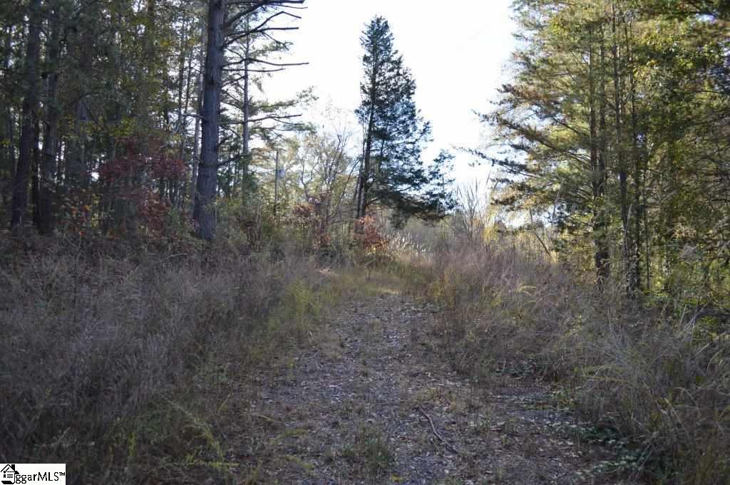 Ross Road Liberty, SC 29657 - Photo 2 of 15
