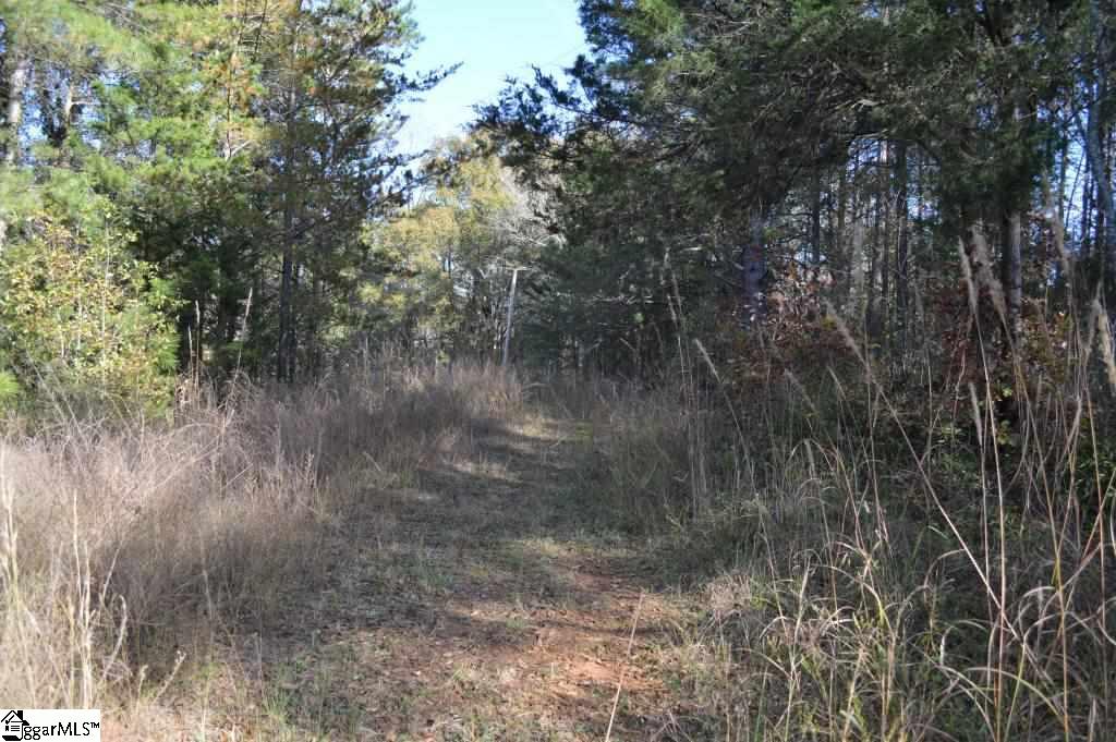 Ross Road Liberty, SC 29657 - Photo 11 of 15