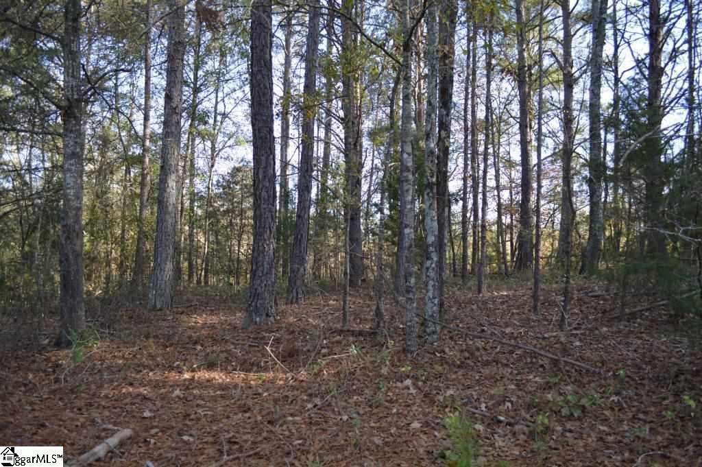Ross Road Liberty, SC 29657 - Photo 3 of 15