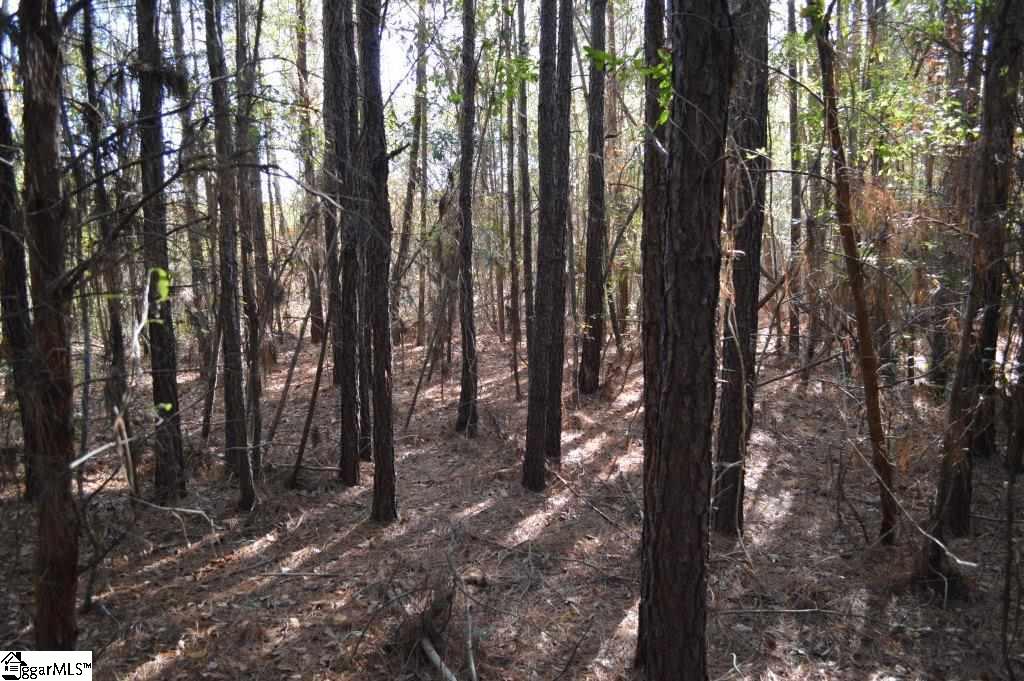 Ross Road Liberty, SC 29657 - Photo 7 of 15