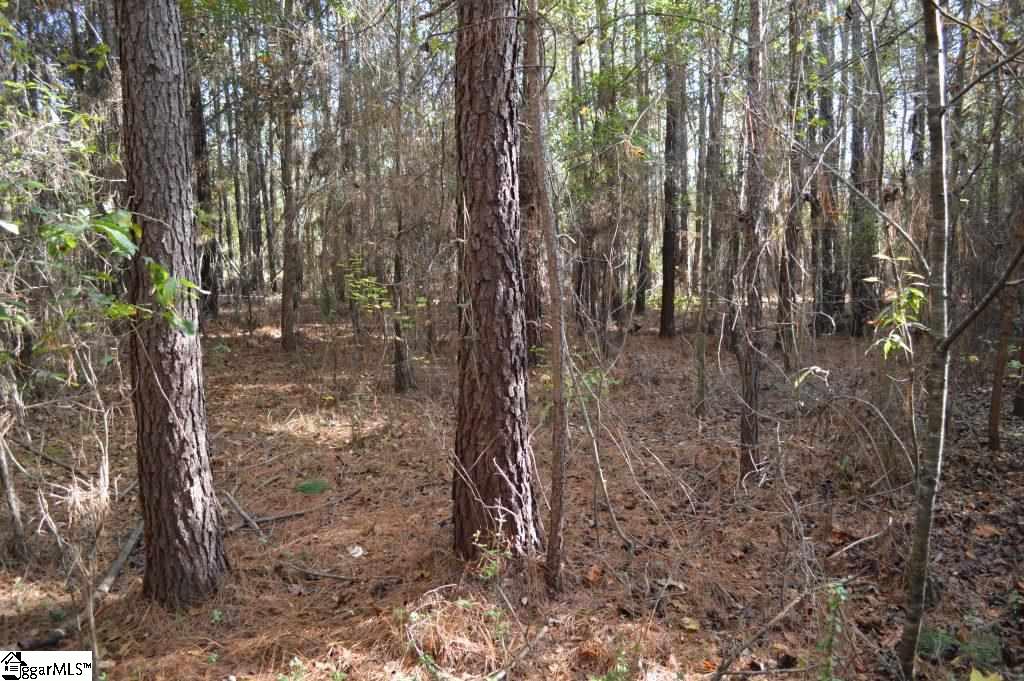 Ross Road Liberty, SC 29657 - Photo 8 of 15