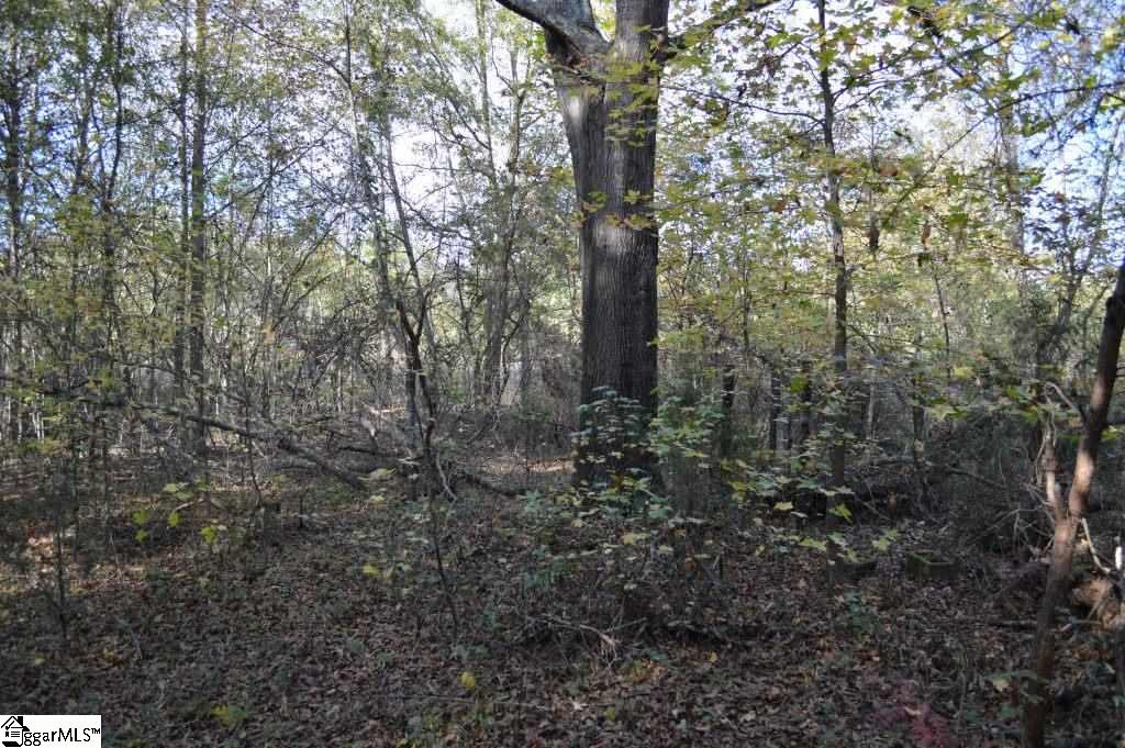 Ross Road Liberty, SC 29657 - Photo 10 of 15
