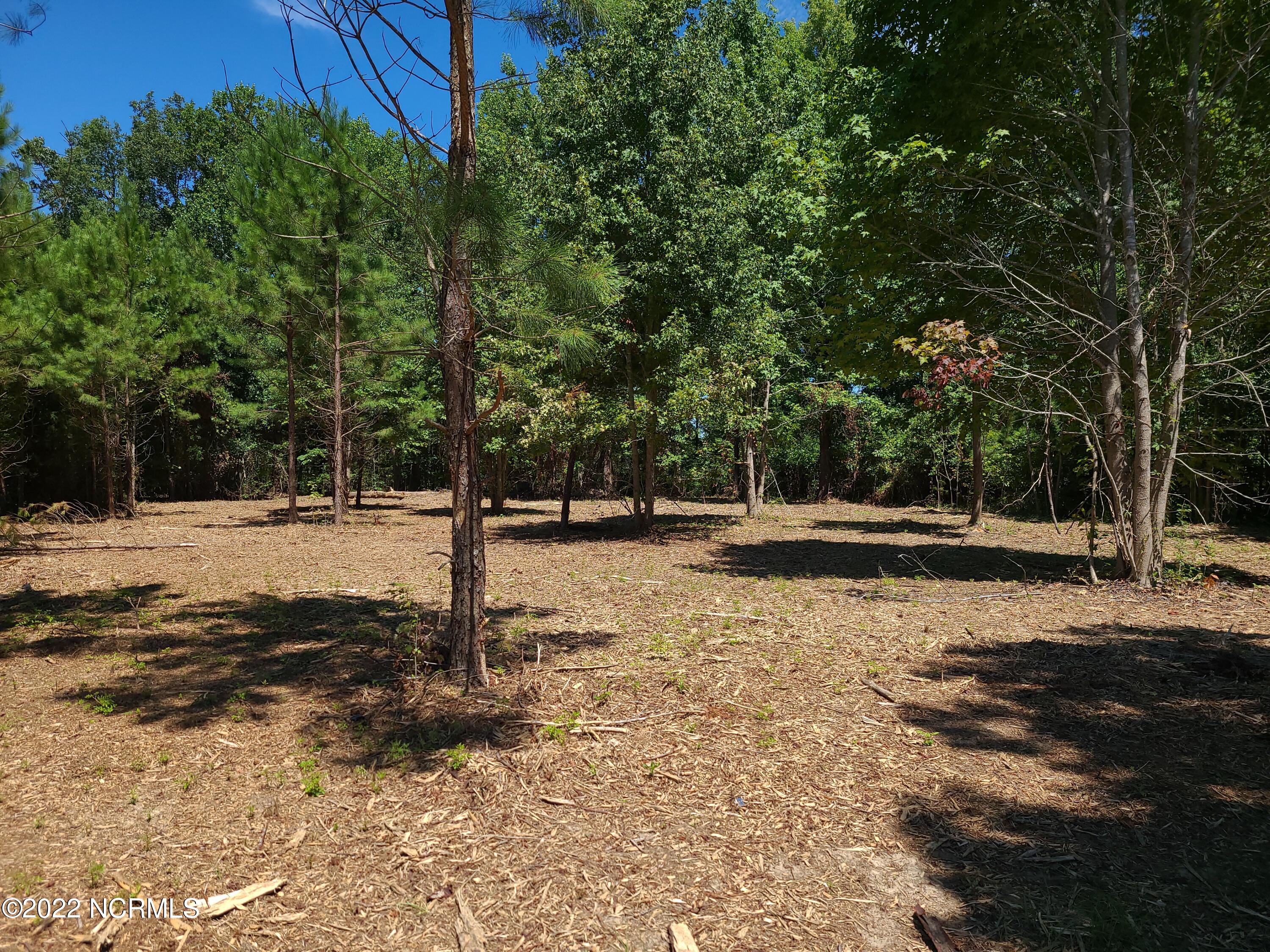 35 Treasure Point Road Bath, NC 27808 - Photo 3 of 15 20220818_120950