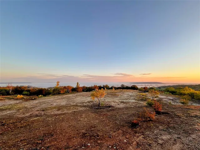 an aerial view of ocean and trees