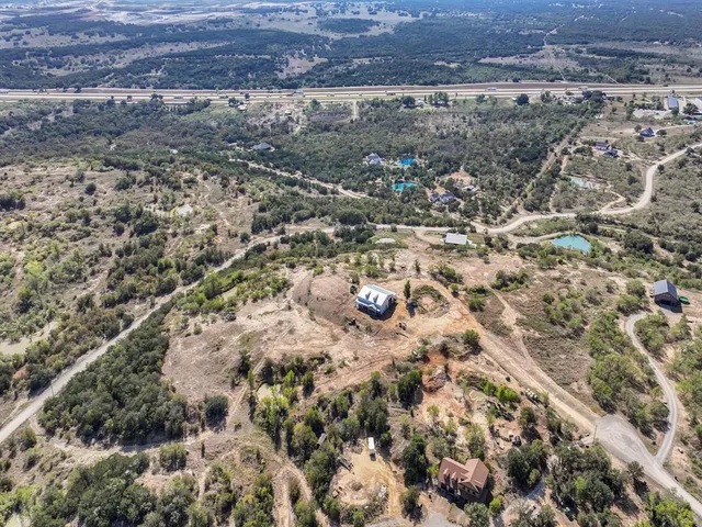 a view of a yard with plants and large trees