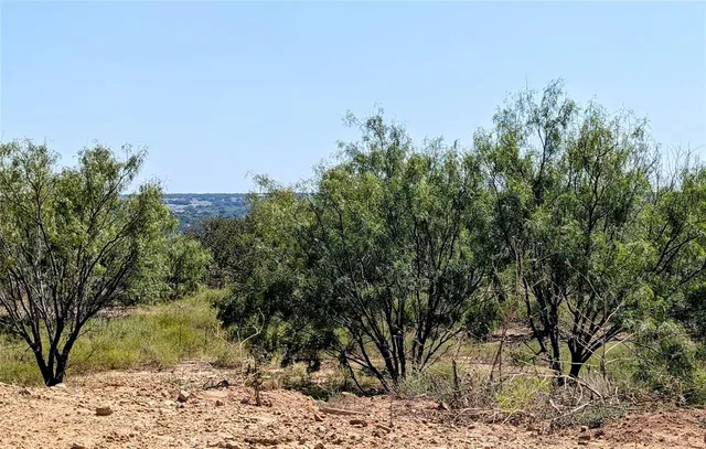 $500,000 | 467 Weatherby Way, Santo, TX 76472