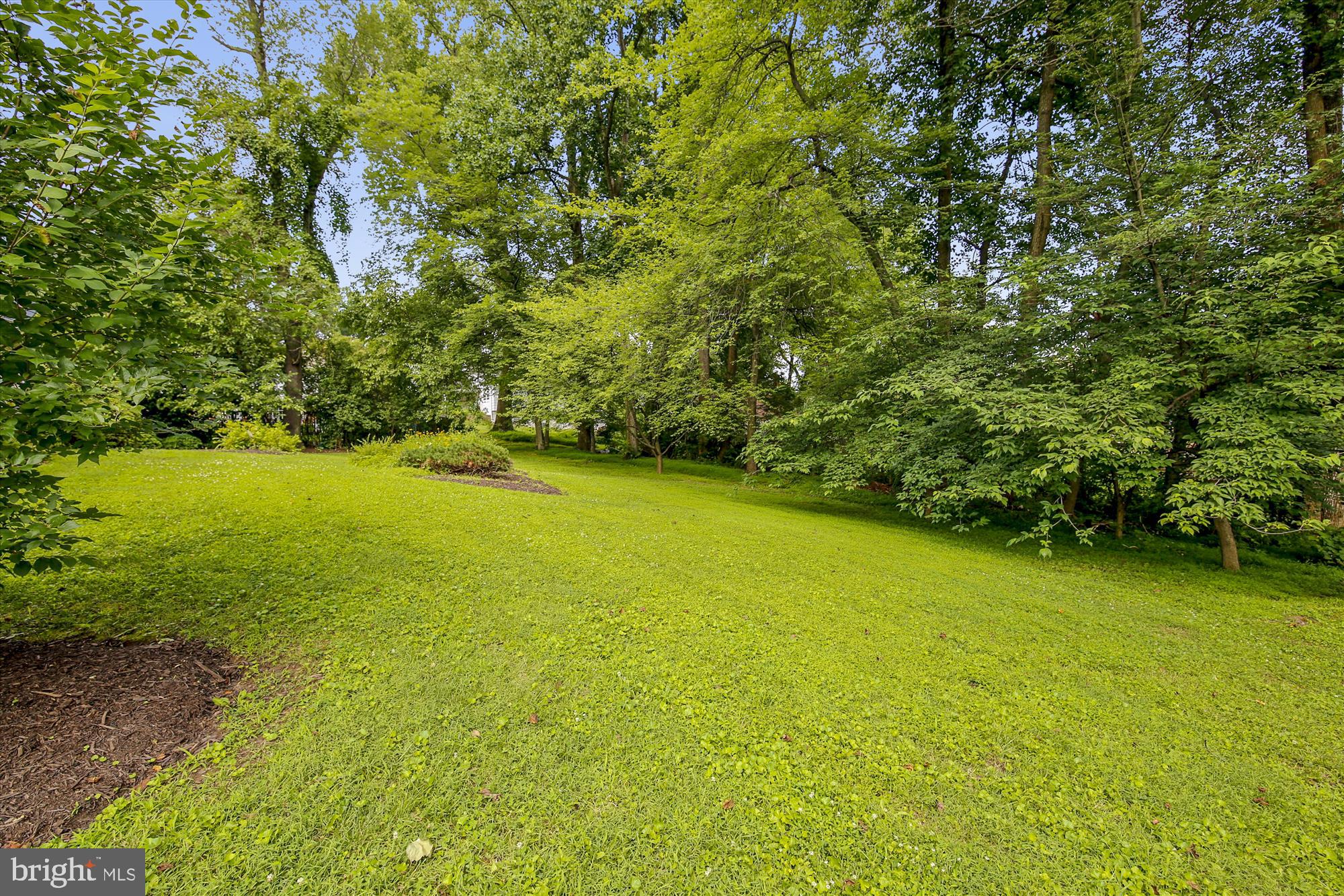 12907 Stonecrest Drive Silver Spring, MD 20904 - Photo 43 of 56