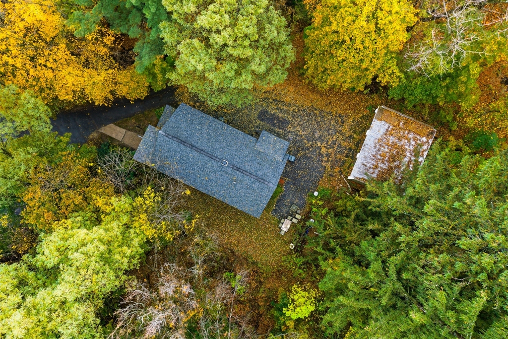 917 Elm Street West Springfield, MA 01089 - Photo 12 of 20 a picture of trees