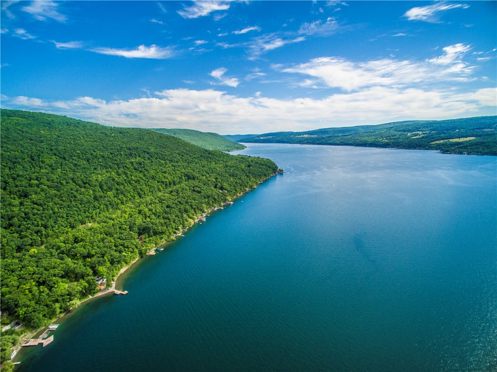 198 East Lake Road Middlesex, NY 14544 - Photo 49 of 50 AERIAL VIEWS OF CANANDAIGUA LAKE