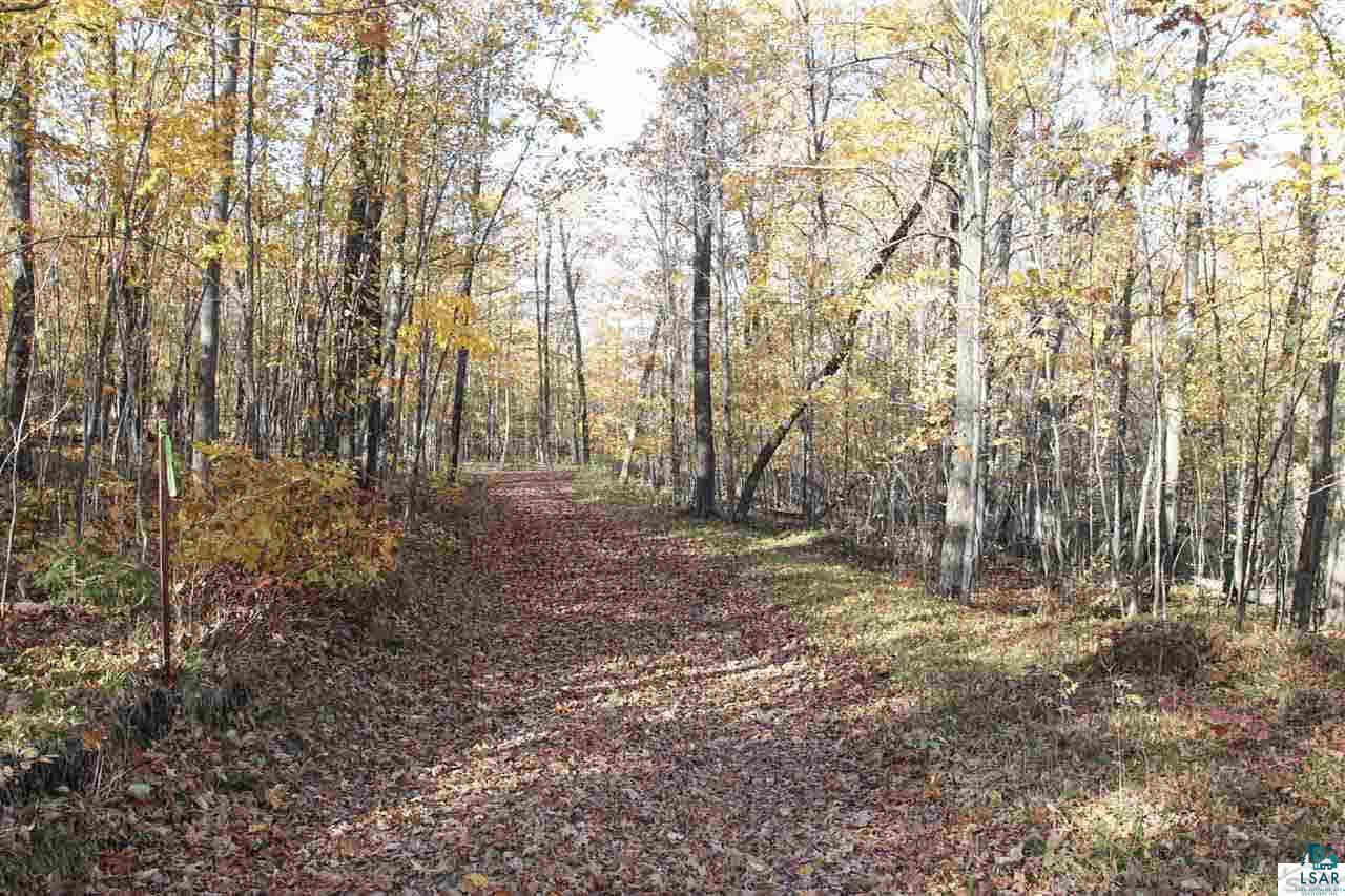 Lot 8 Delta Lake Road Iron River, WI 54847 - Photo 3 of 7