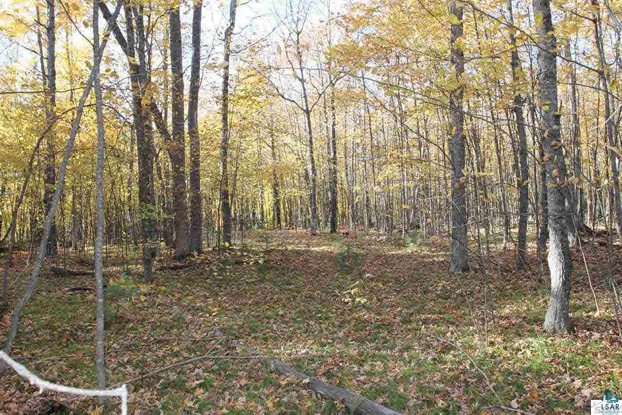 Lot 8 Delta Lake Road Iron River, WI 54847 - Photo 4 of 7