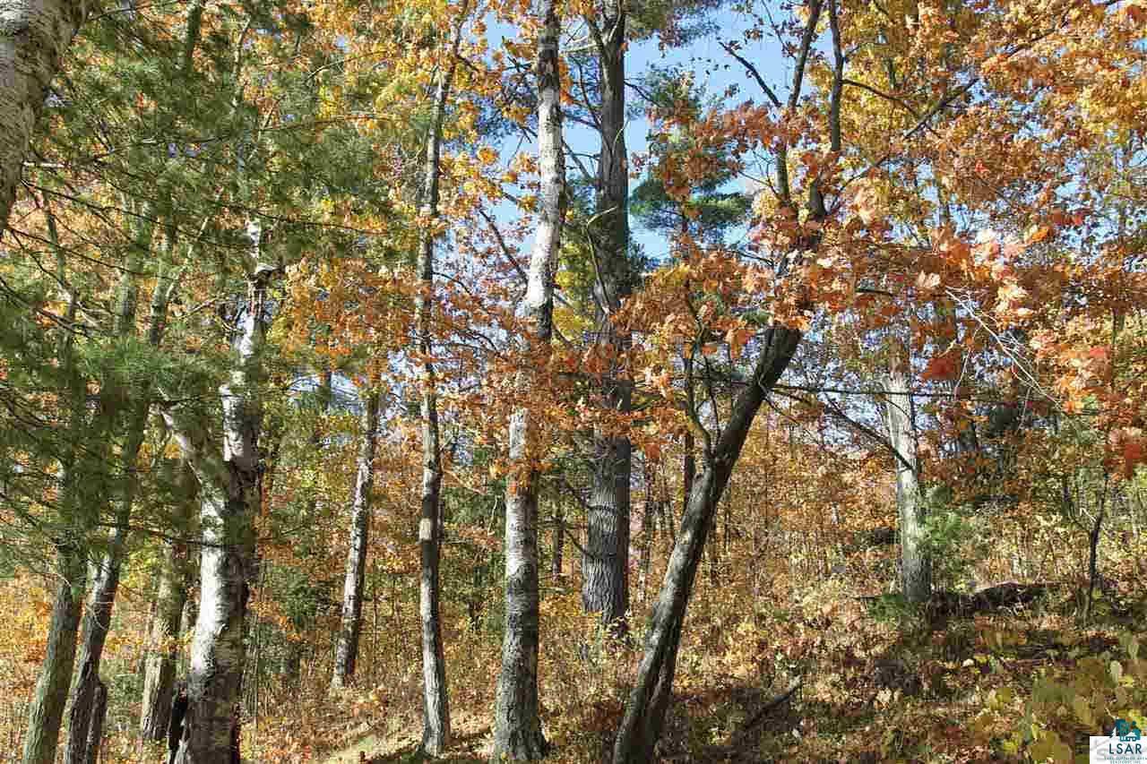 Lot 8 Delta Lake Road Iron River, WI 54847 - Photo 5 of 7